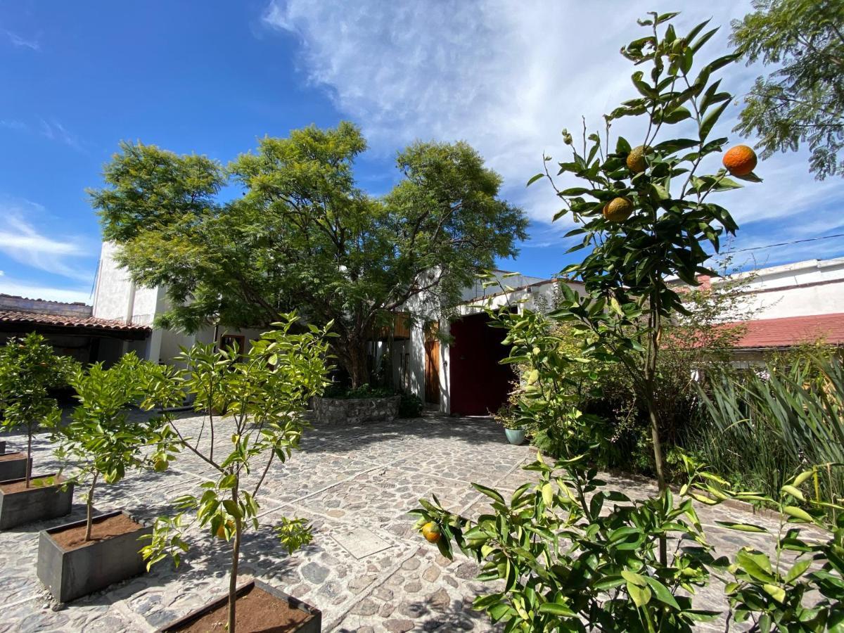 Posada Colibri - Hotel & Spa San Juan Teotihuacán Exterior photo